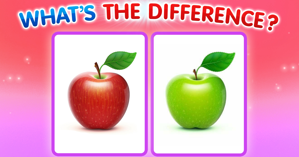 What's The Difference? Cover